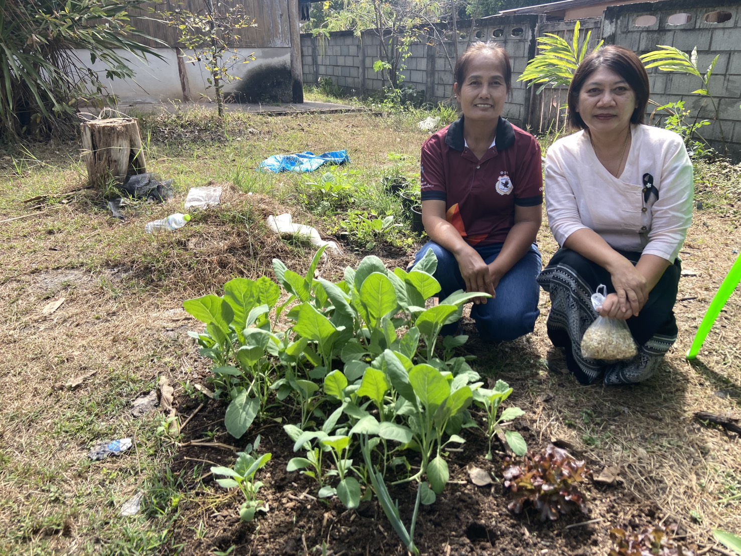สพอ.น้ำปาด ร่วมติดตามการปลูกผักสวนครัว เพื่อน้อมนำแนวพระราชดำริของสมเด็จพระกนิษฐาธิราชเจ้า กรมสมเด็จพระเทพรัตนราชสุดา ฯ สยามบรมราชกุมารี